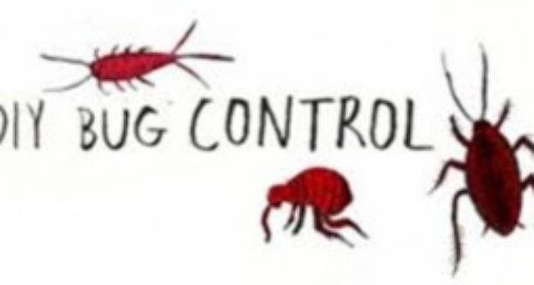 A new Do-It-Yourself Help guide Pest Control London Ontario