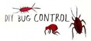A new Do-It-Yourself Help guide Pest Control London Ontario