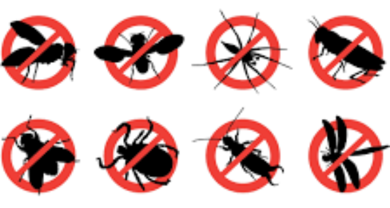 Pest control reducing numerous unwanted pests at home – London ON